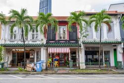 Tanjong Pagar Conservation Area (D2), Shop House #576520861